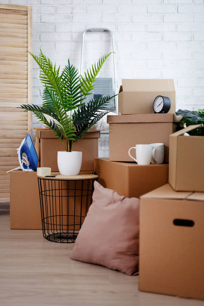 lähikuva ruskea pahvilaatikoita, huonekasvit ja muut kotitaloustavarat olohuoneessa sfter muuttopäivä - Valokuva, kuva