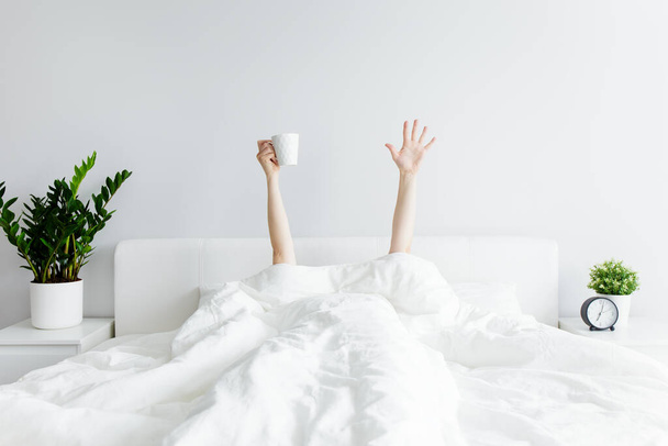Доброе утро и концепция релаксации - женские руки с чашкой кофе, торчащей из одеяла дома или в отеле
 - Фото, изображение