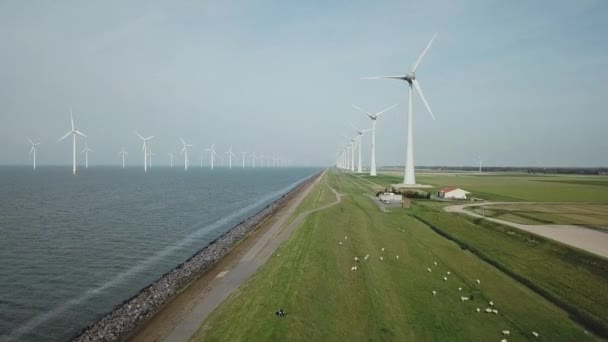 Морская ветровая ферма Westermeerwind by urk Netherlands - Кадры, видео