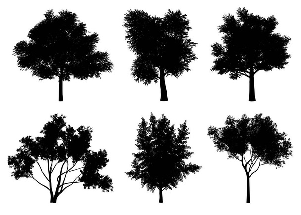Hermosas siluetas de árbol de colección y corte en un fondo blanco con camino de recorte
. - Foto, imagen