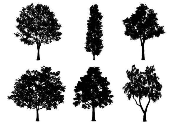 Schöne Sammlung Baum Silhouetten und Schnitt auf weißem Hintergrund mit Clipping-Pfad. - Foto, Bild