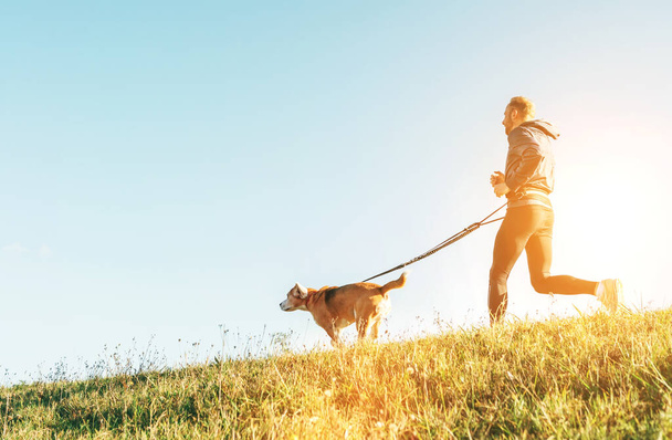 Canicross exercises. Man jogging with his beagle dog at sunny morning - Foto, Bild