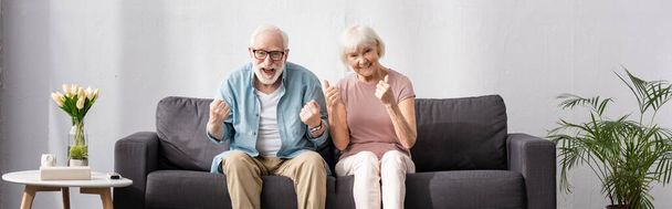 Panoráma felvétel mosolygós idős pár mutatja igen és hüvelykujj fel gesztusok kanapén otthon  - Fotó, kép