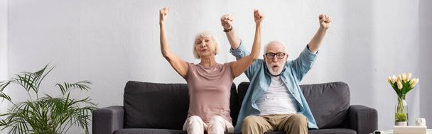 Panoramic crop of positive senior couple showing yeah gesture on couch in living room - Foto, Imagem