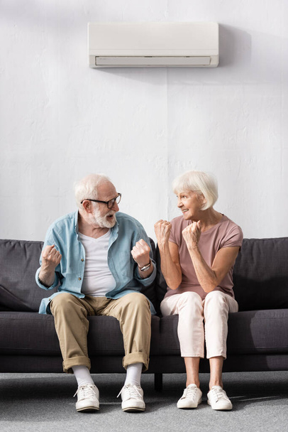 Smiling senior couple looking at each other and showing yeah gesture at home  - Photo, Image