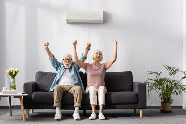 Positive senior couple showing yes gesture under air conditioner on sofa at home  - Photo, Image