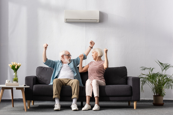 Excited elderly couple showing yeah gesture under air conditioner at home  - Фото, зображення