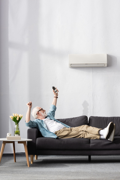 Hombre mayor mostrando sí gesto mientras sostiene el mando a distancia del aire acondicionado en el sofá
  - Foto, Imagen