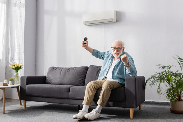 Χαμογελώντας ηλικιωμένος άνδρας δείχνει ναι χειρονομία στην κάμερα και κρατώντας τηλεχειριστήριο του κλιματιστικού στον καναπέ  - Φωτογραφία, εικόνα