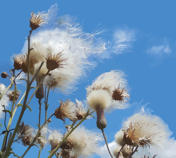 weiße unscharfe Wildblumen mit fliegenden Samen auf blauem Himmel Hintergrund - Vektor, Bild