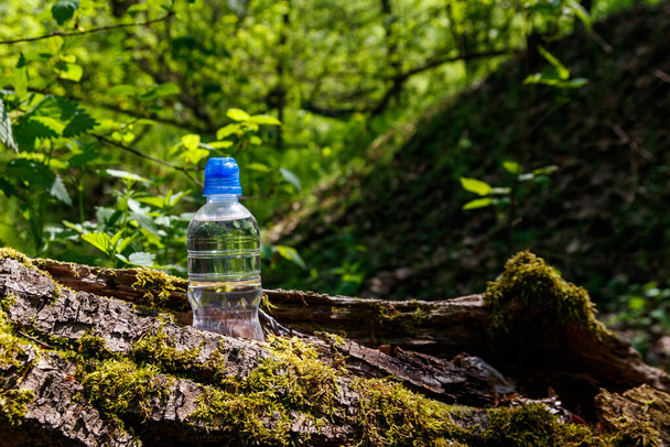 Plastic bottle with fresh drinking water on green forest background - Photo, Image