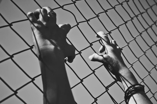 Ruka drží na drátěném plotě - Fotografie, Obrázek