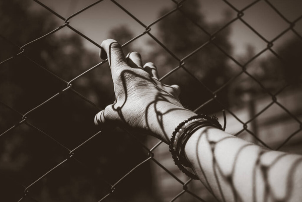 Mano sosteniendo una cerca de eslabón de cadena
 - Foto, Imagen