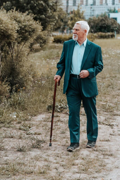 Portrait of a gray haired adult grandfather of a European against the background of nature in the park. An elderly man with a wooden cane with a smile - Fotografie, Obrázek