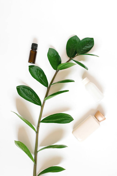 Flat lay the composition with a branch of zamiokulkas and bottles of body or face cream, a glass brown bottle of aromatic oil on a white background. Concept of Spa treatments and organic cosmetics with plant ingredients - Фото, изображение