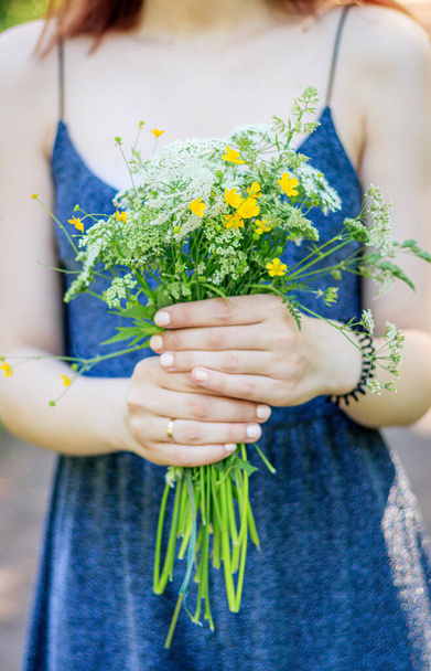 A bouquet of wild flowers in women's hands . Bouquet of wildflowers. Soft female hands. Article about collecting flowers. Yellow and white live flowers. Bouquet - 写真・画像