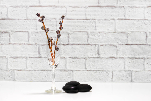 šálek s eukalyptovými větvemi a černými sopečnými lávovými kameny na bílém pozadí - Fotografie, Obrázek
