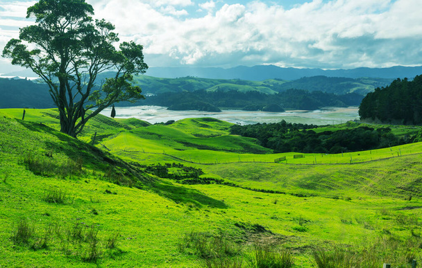 Bela paisagem rural da Nova Zelândia - colinas verdes e árvores
 - Foto, Imagem