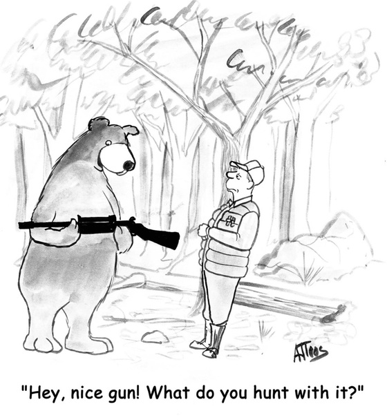 Bear considers gun hunter - Photo, Image
