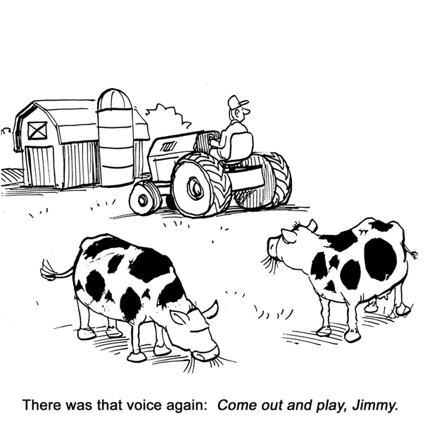 O agricultor e as suas vacas leiteiras estão a ouvir vozes horríveis na quinta.
 - Foto, Imagem