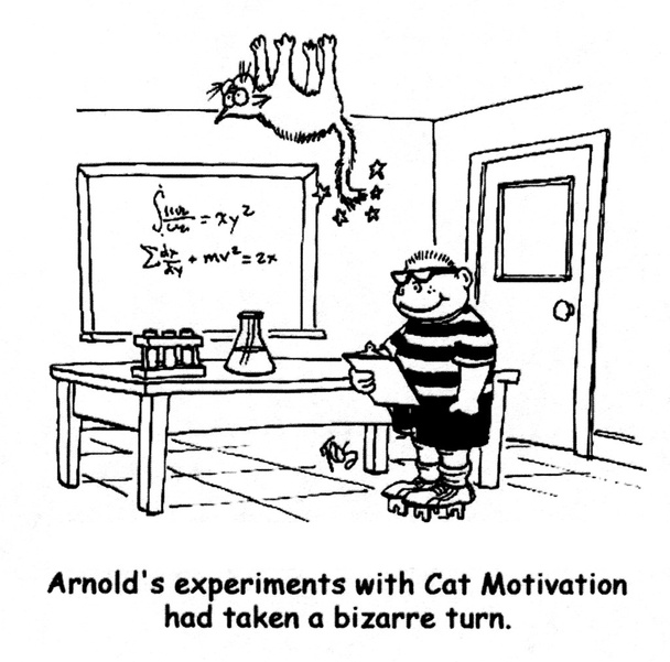 Arnoldovy experimenty s Cat motivací se podivně otočily. - Fotografie, Obrázek