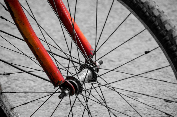 A wheel of a red bicycle on a greyscale background - Фото, зображення