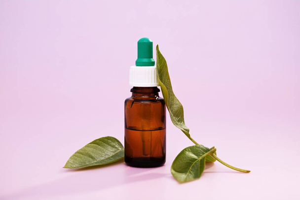 A closeup of medicinal leaf extracts in a medicine bottle over a pink background - Photo, image