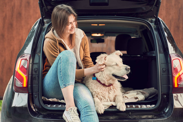 Young woman with dog sitting in open trunk of black car - Foto, Imagem