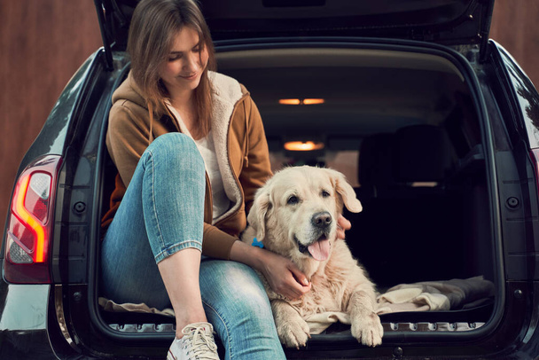 Young woman with golden retriever sit in open trunk of black car - 写真・画像