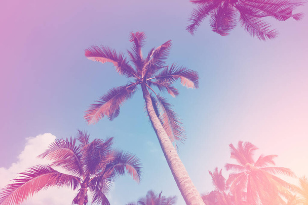 Kopieer ruimte van silhouet tropische palmboom met zonlicht op zonsondergang hemel en wolk abstracte achtergrond. Zomervakantie en natuur reizen avontuur concept. Pastel toon filter effect kleur stijl. - Foto, afbeelding