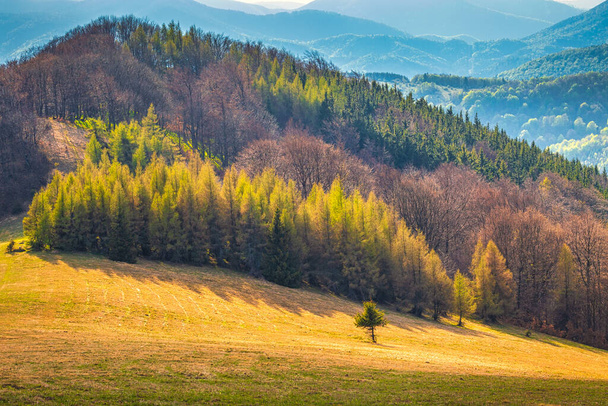 Paesaggio con colline coperte di boschi. Le montagne Strazov in Slovacchia, Europa. - Foto, immagini
