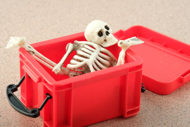 kości i części ludzkiego szkieletu są ułożone w czerwonym pudełku. grał w pudełku - Zdjęcie, obraz