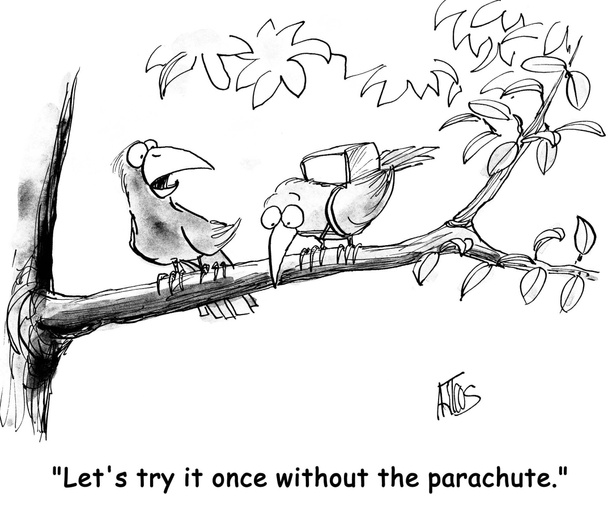 vogels proberen vliegen zonder een parachute - Foto, afbeelding