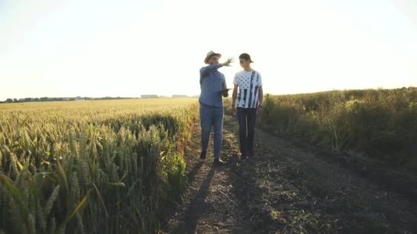 Two farmers talking between themselves using tablet in field on sunset - Imágenes, Vídeo