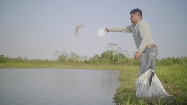 Yapacani, Santa Cruz / Bolivien; 3. September 2017: Fischzüchter, die mit Netzen arbeiten, um Tambaqui und Pacu-Fische (Serrasalmus) zu fangen Von den Fischteichen zu den Eimern für den Verkauf - Filmmaterial, Video