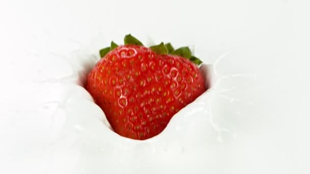 Super slow motion of strawberry falling into milk. Filmed on high speed cinema camera, 1000 fps. - Imágenes, Vídeo