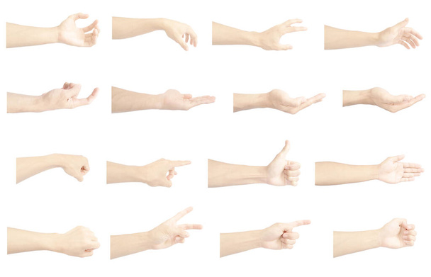 mano izquierda colección múltiple de asiático en gestos con piel blanca aislada sobre fondo blanco
 - Foto, imagen