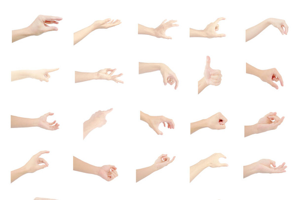 mano izquierda colección múltiple de asiático en gestos con piel blanca aislada sobre fondo blanco
 - Foto, imagen
