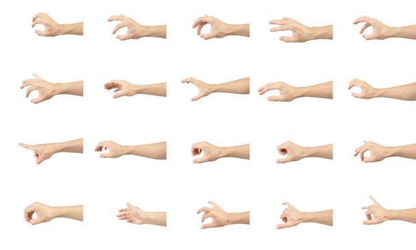 colección de manos en gestos con piel blanca aislada sobre fondo blanco
 - Foto, Imagen