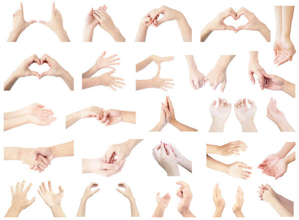 zbiór ręka wielokrotny zestaw obu rąk, zarówno lewej, jak i prawej strony w gesty izolowane na białym tle - Zdjęcie, obraz