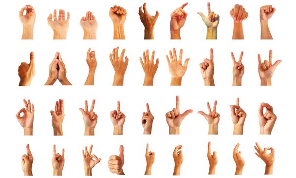 коллекция о жестах рук
 - Фото, изображение