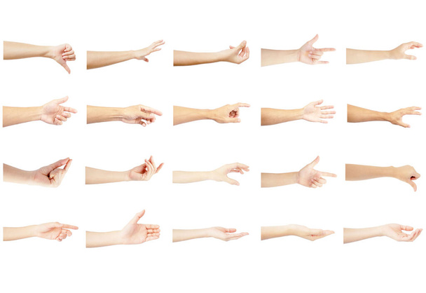 mano izquierda colección múltiple con extenderse en gesto de hombre y mujer aislados sobre fondo blanco
 - Foto, Imagen