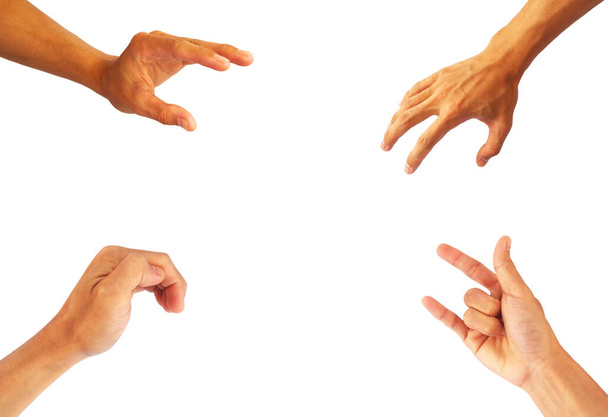 four hand collection in gestures isolated on white background - Photo, Image