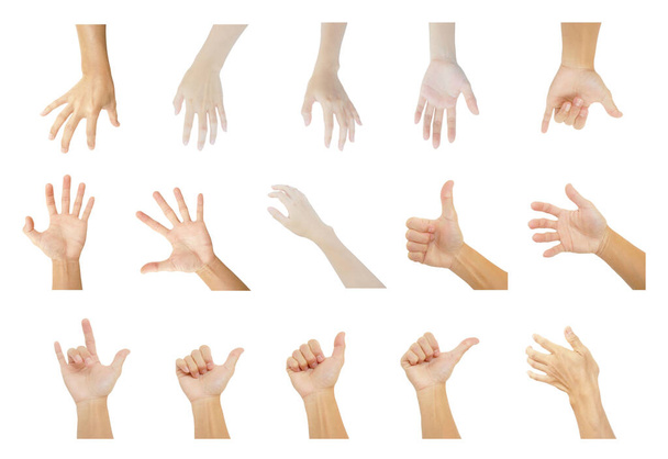multiple hands collection of man and woman in gestures isolated on white background - Photo, Image