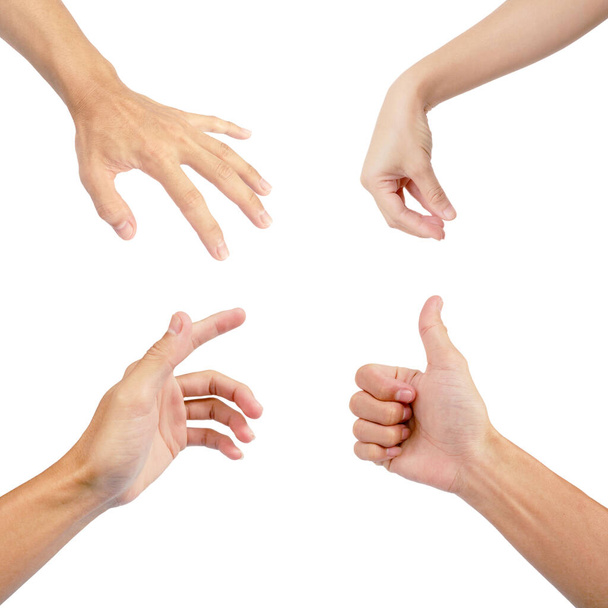 gestos de mão em coleção múltipla com close-up isolado no fundo branco
 - Foto, Imagem
