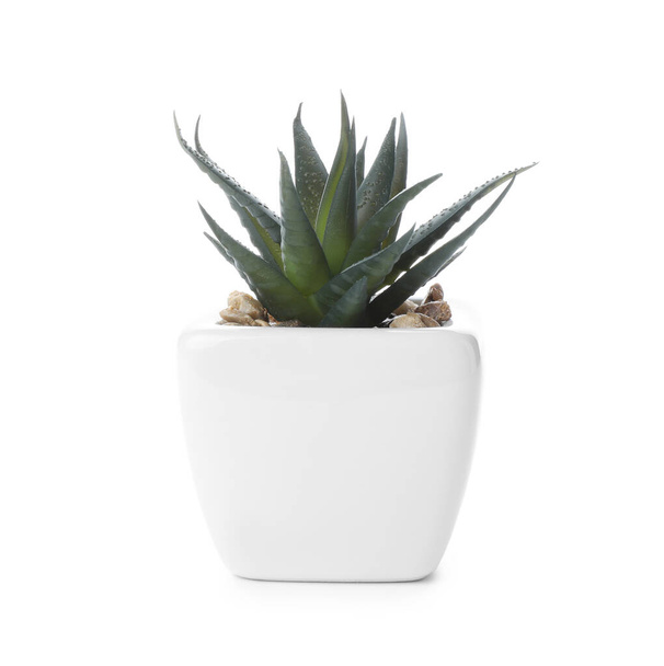 Beautiful artificial plant in flower pot isolated on white - Valokuva, kuva
