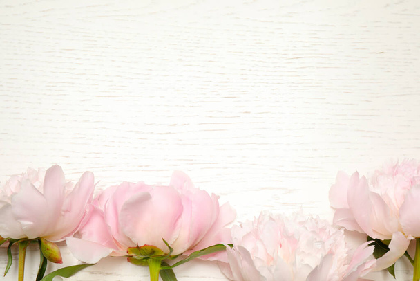 Beautiful blooming peonies on white wooden table, flat lay. Space for text - Фото, зображення