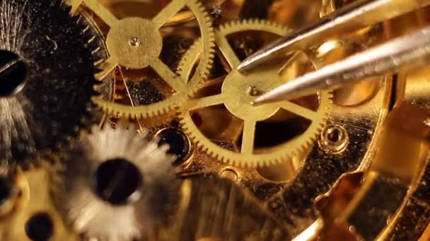 Warsztat zegarmistrzowski, naprawa zegarków mechanicznych - Materiał filmowy, wideo
