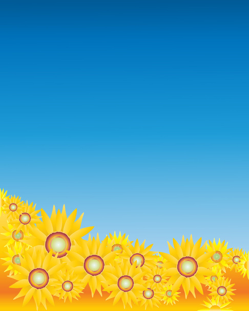 Sunflowers and sky - Vector, Image