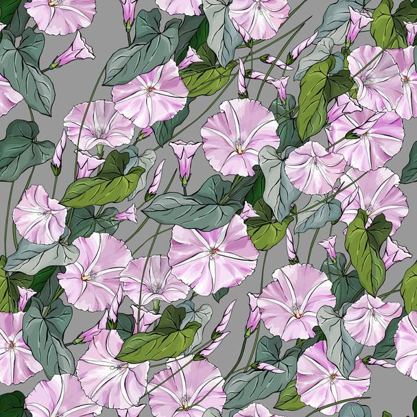  Floral seamless pattern with bindweed on gray background. Pattern for wedding stationary, fashion, wallpapers, greetings, background for web page. Endless texture for floral design. - Vector, Image